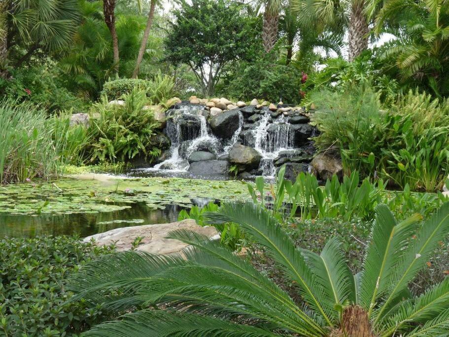 Hidden Oasis Near Orlando, Disney, Etc. Apartment Kissimmee